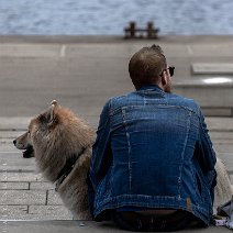The dog and his owner II