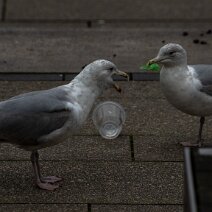 6MK_9007_export_klein After a drink you should have a snack )